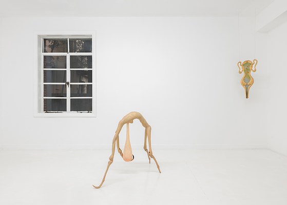 Image 29 of 70