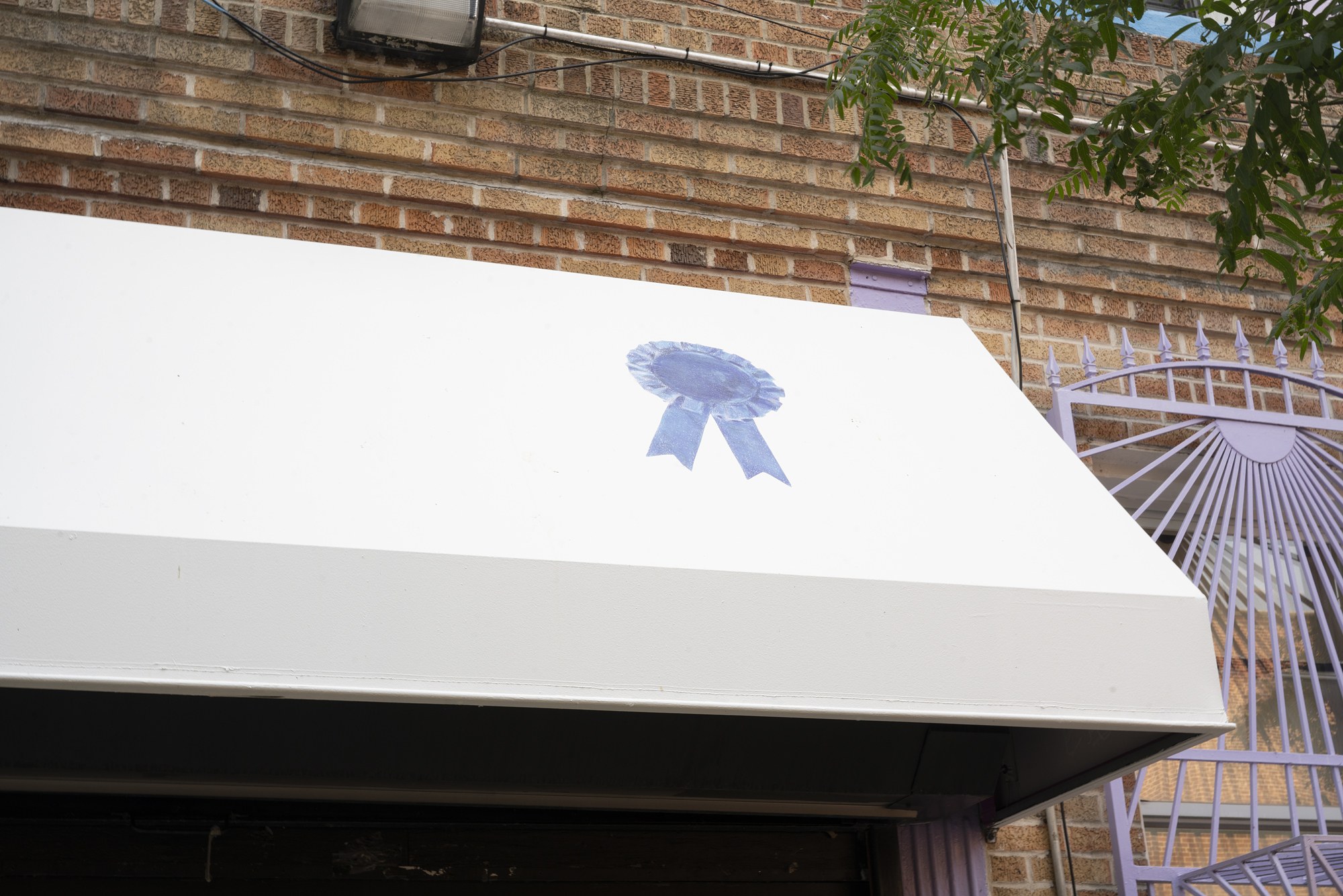 Installation view 8