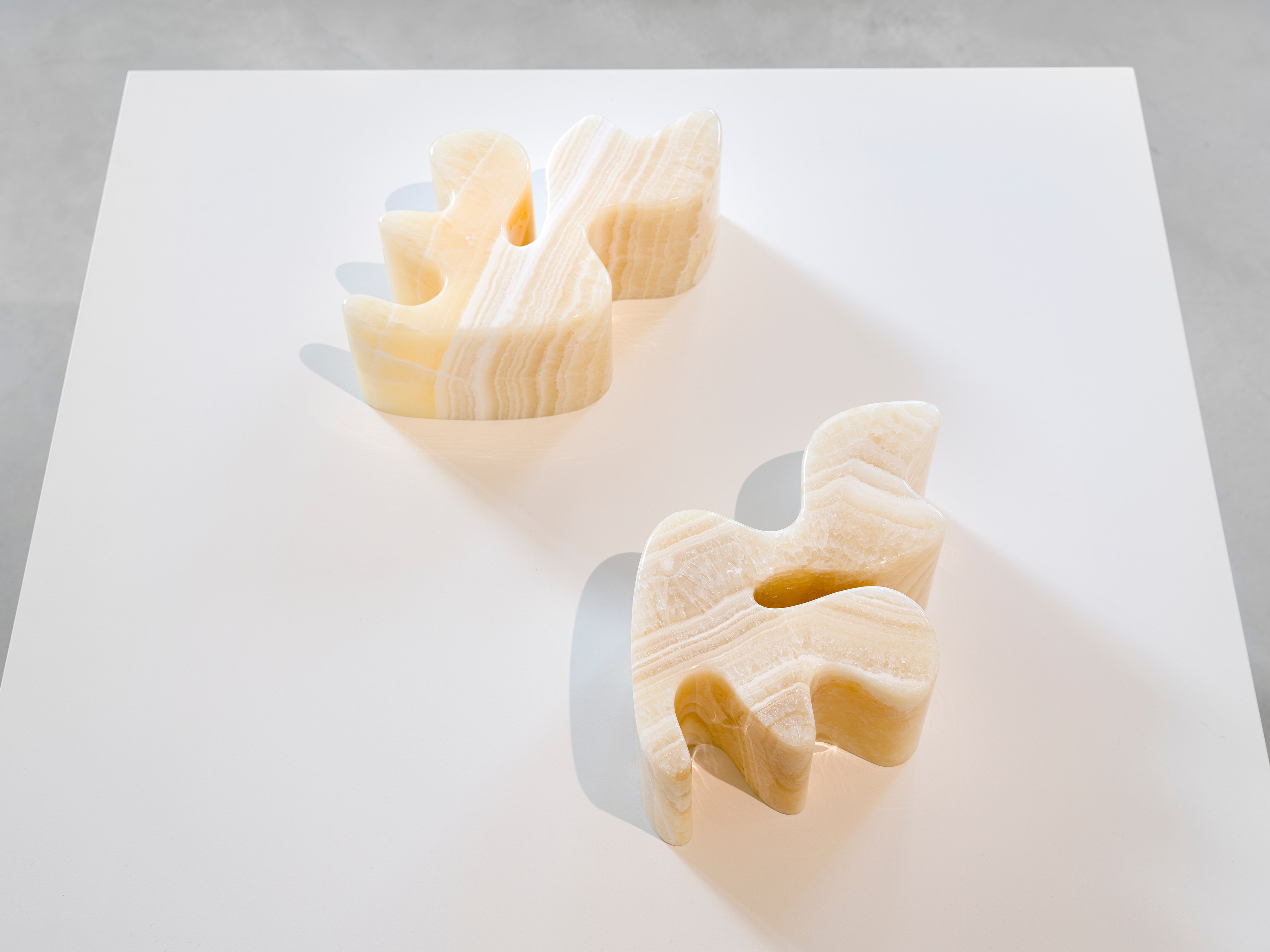 Sarah Crowner, Plant Based at Galerie Nordenhake, photo 17