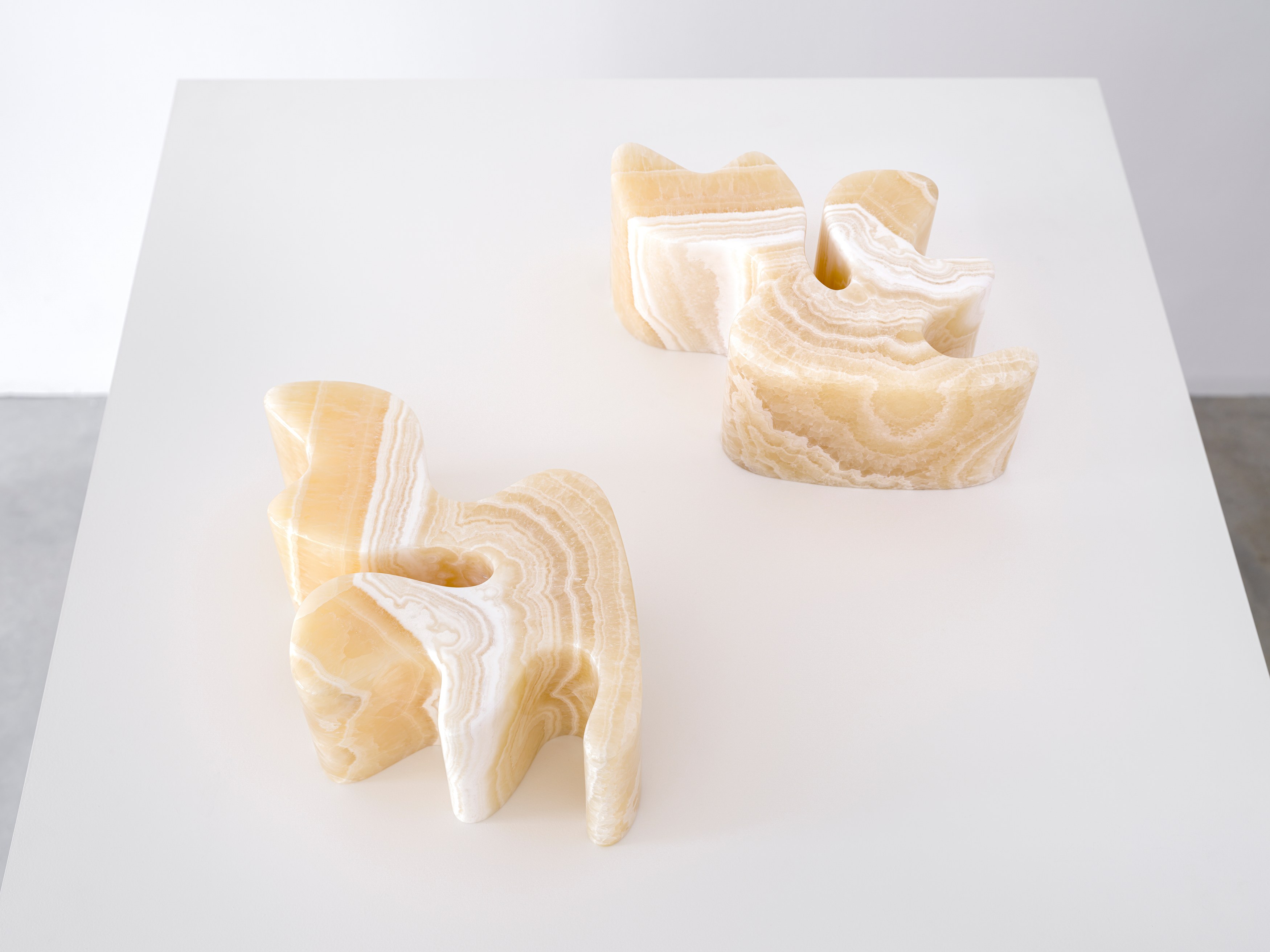 Sarah Crowner, Plant Based at Galerie Nordenhake, photo 18