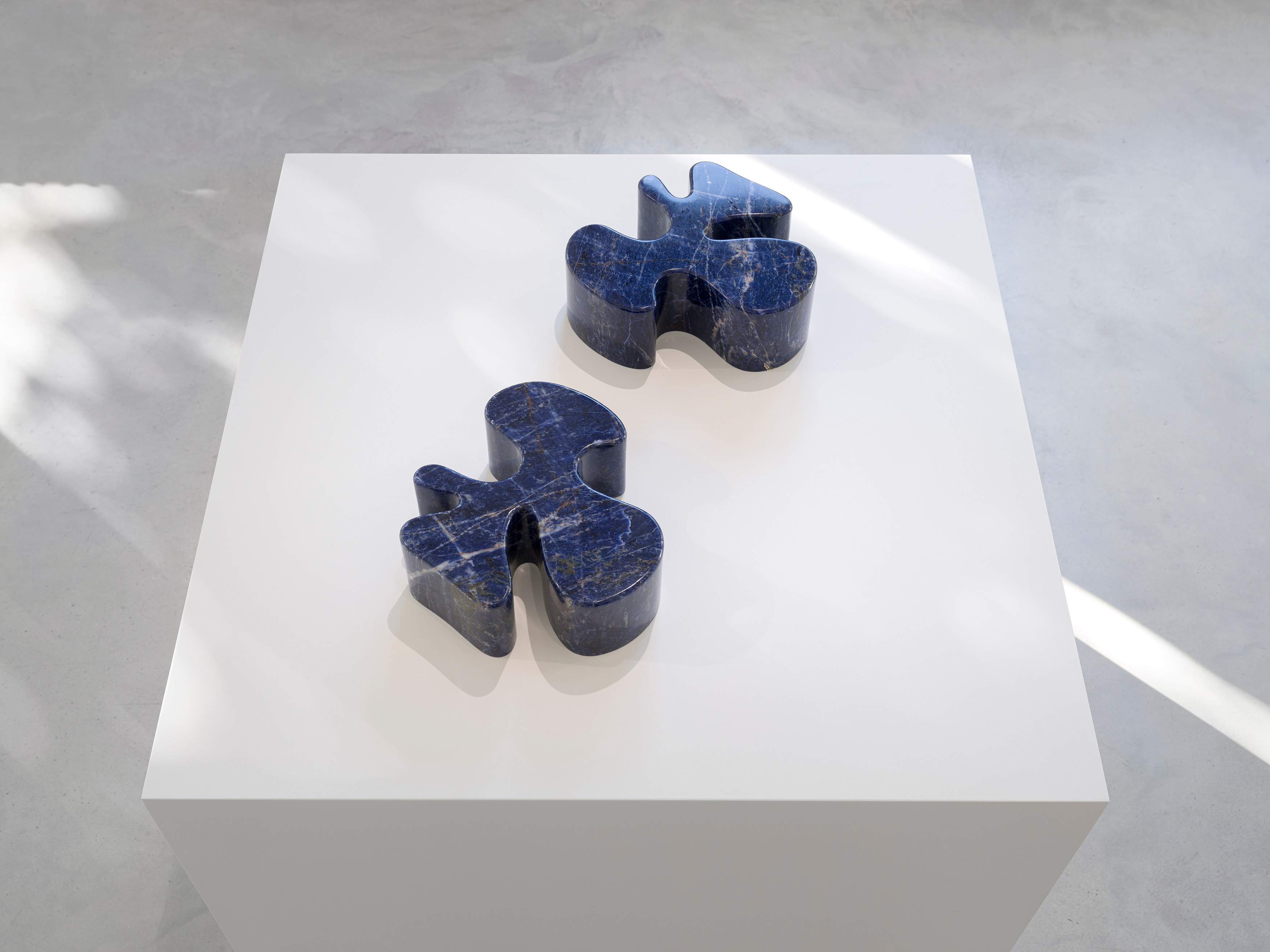 Sarah Crowner, Plant Based at Galerie Nordenhake, photo 19