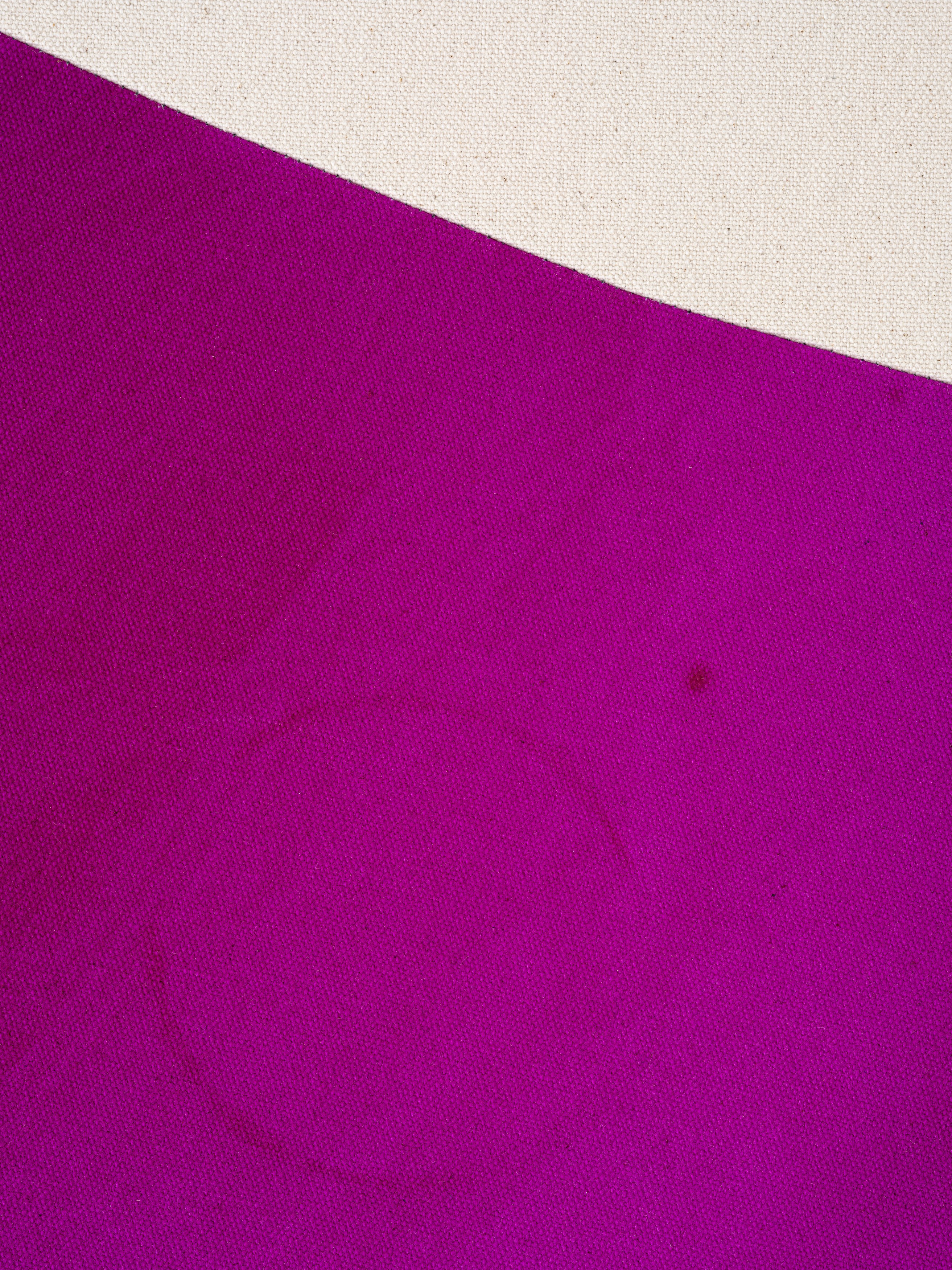 Sarah Crowner, Plant Based at Galerie Nordenhake, photo 13