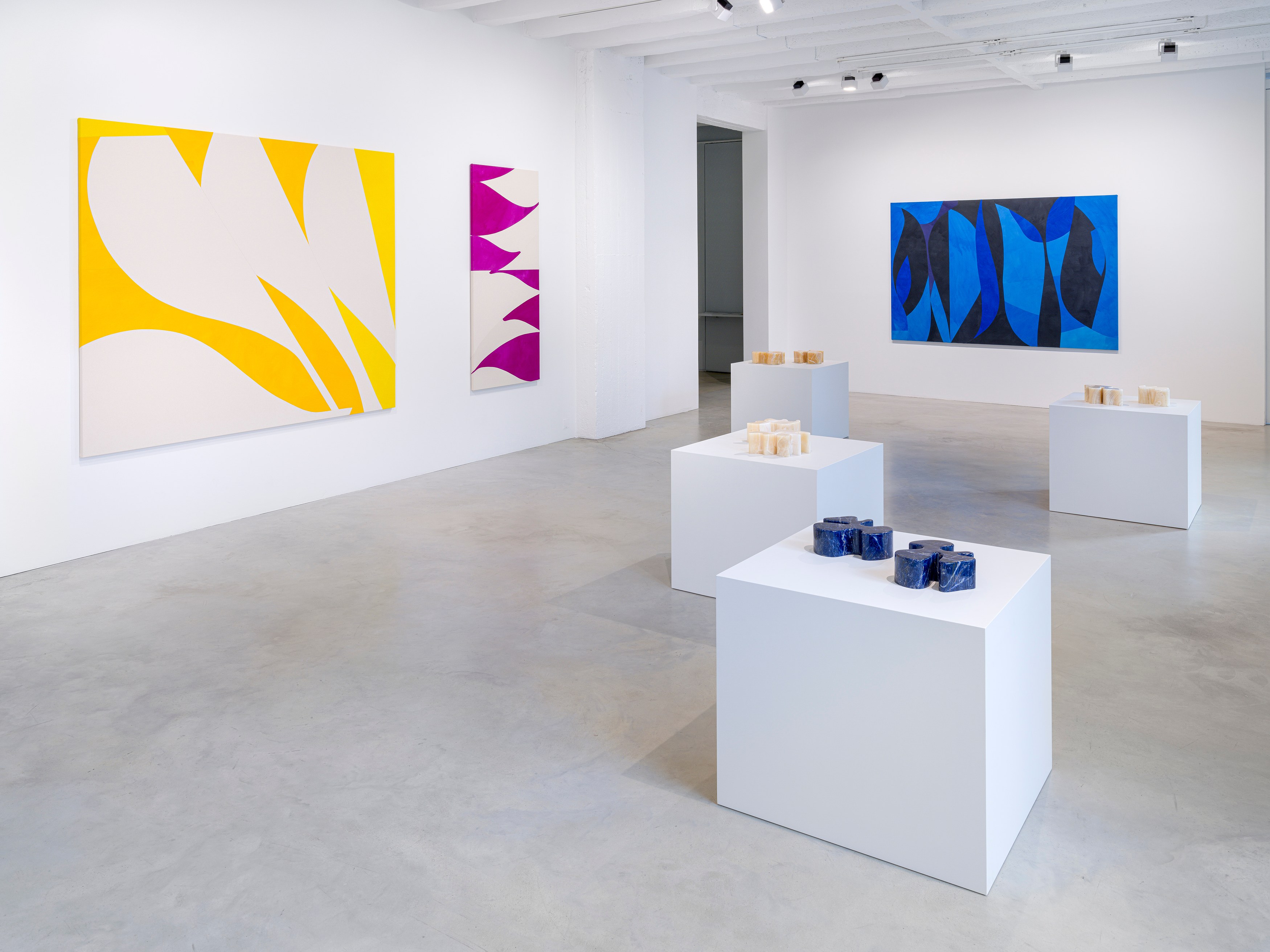 Sarah Crowner, Plant Based at Galerie Nordenhake, photo 3