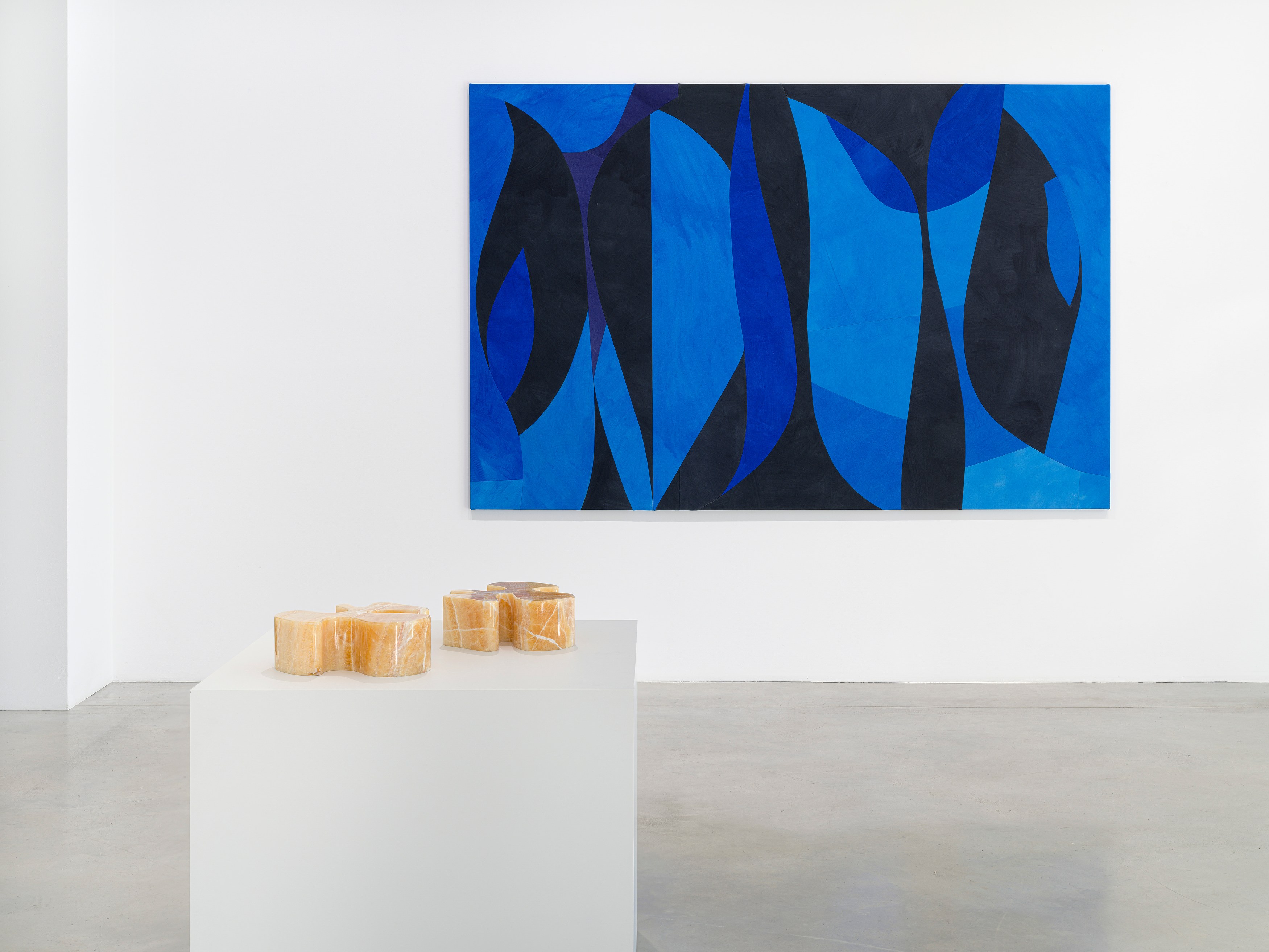 Sarah Crowner, Plant Based at Galerie Nordenhake, photo 4