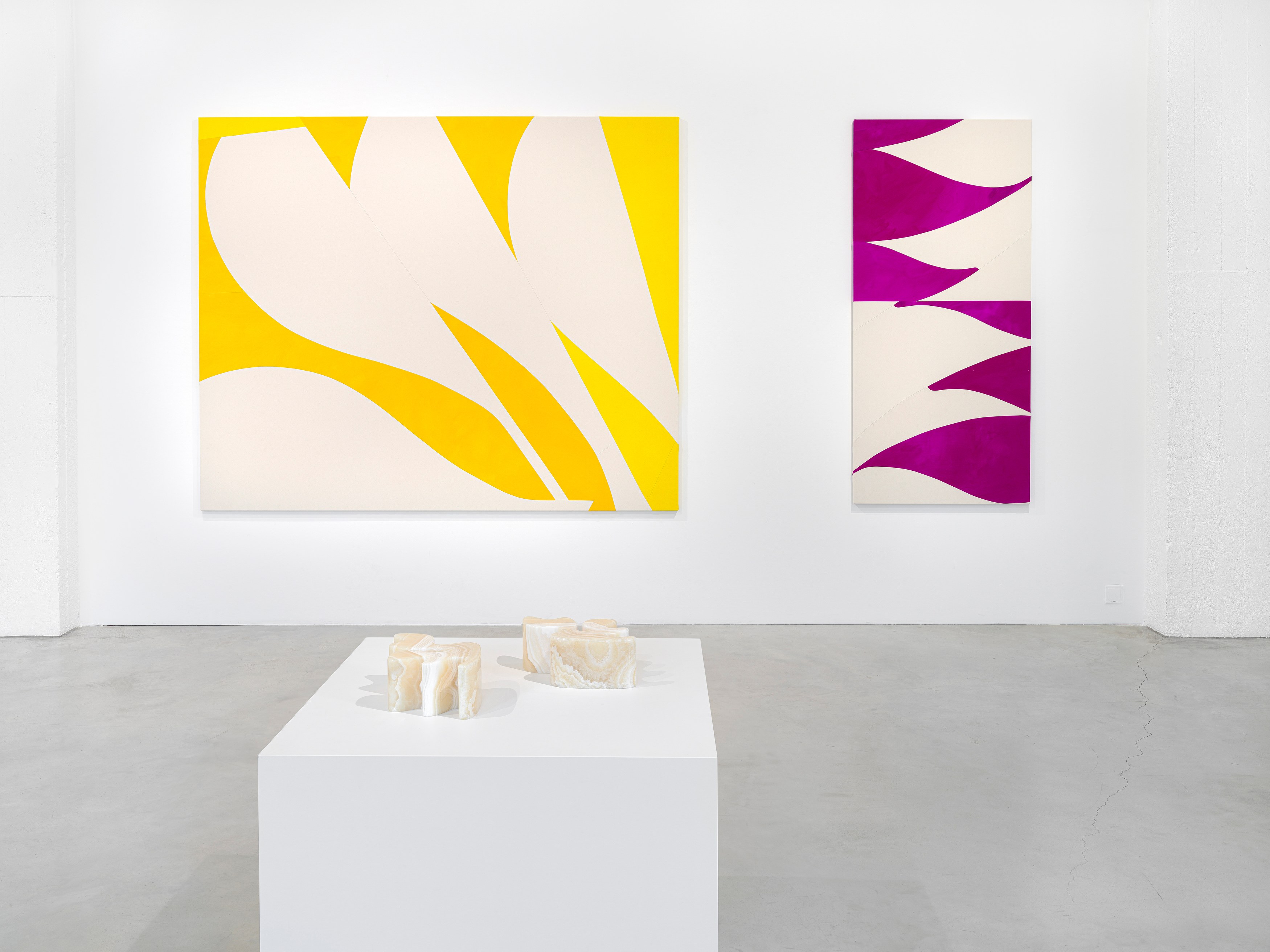 Sarah Crowner, Plant Based at Galerie Nordenhake, photo 5