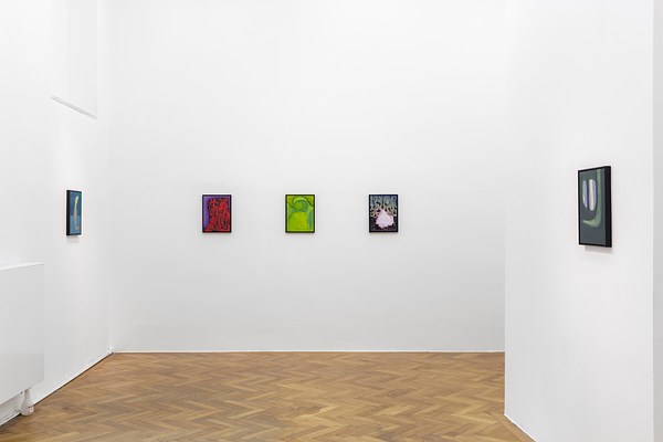 Image 12 of 25