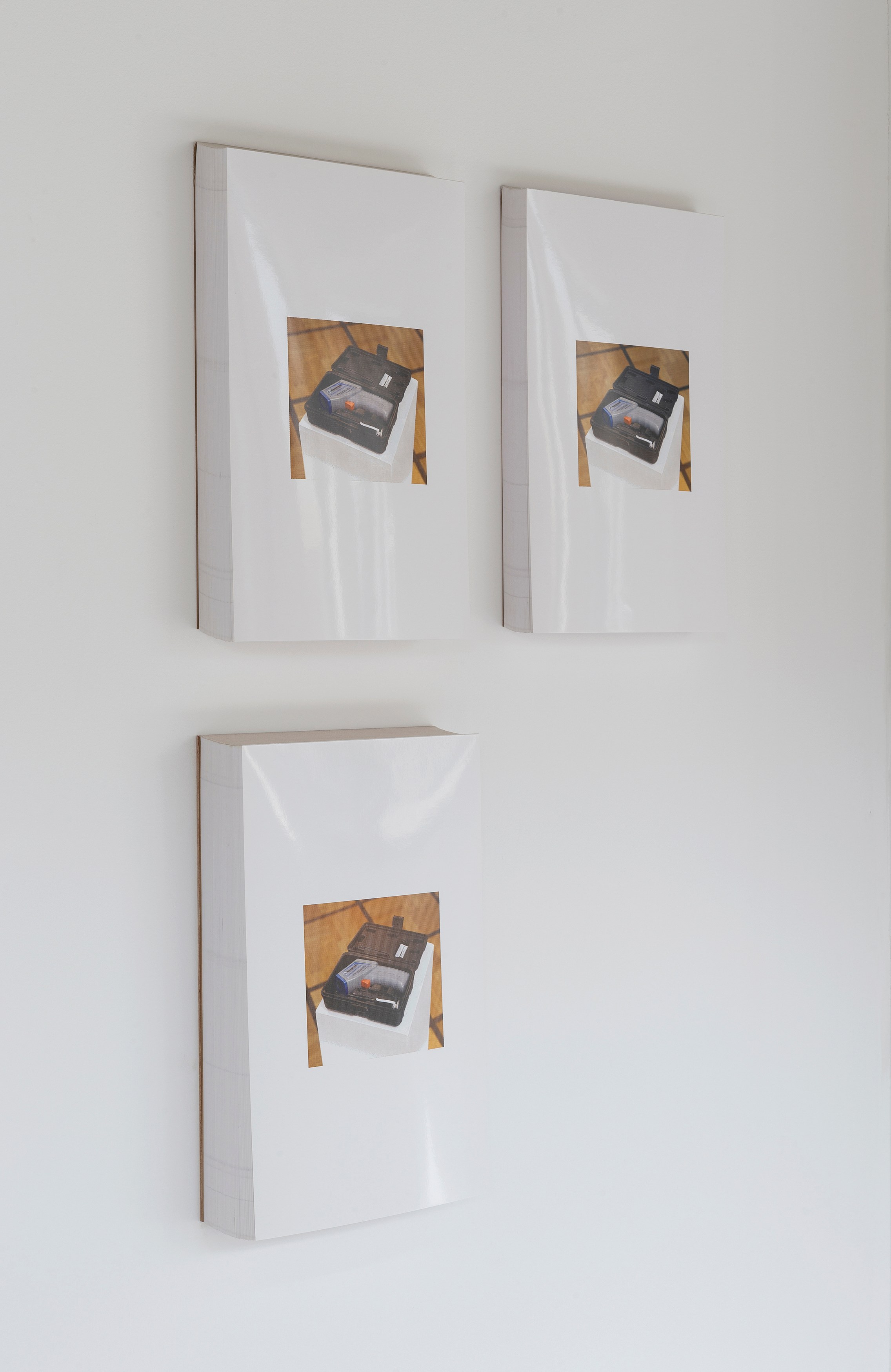 Flint Jamison, Veneer at Air de Paris, photo 8