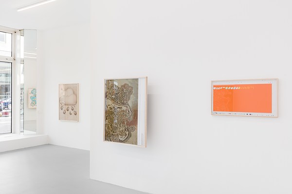 Image 4 of 16