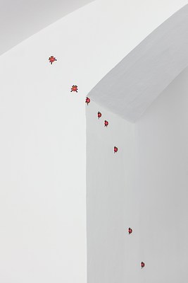 Image 11 of 36