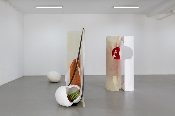 Image 7 of 20