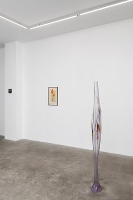 Image 8 of 14