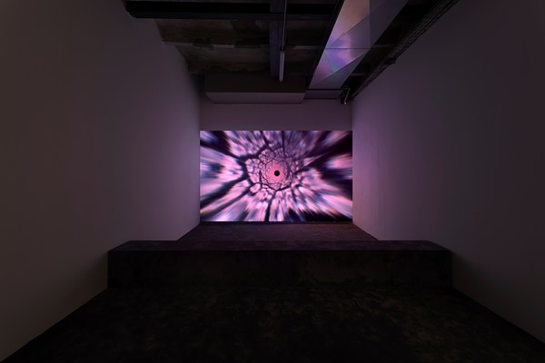 Image 10 of 21