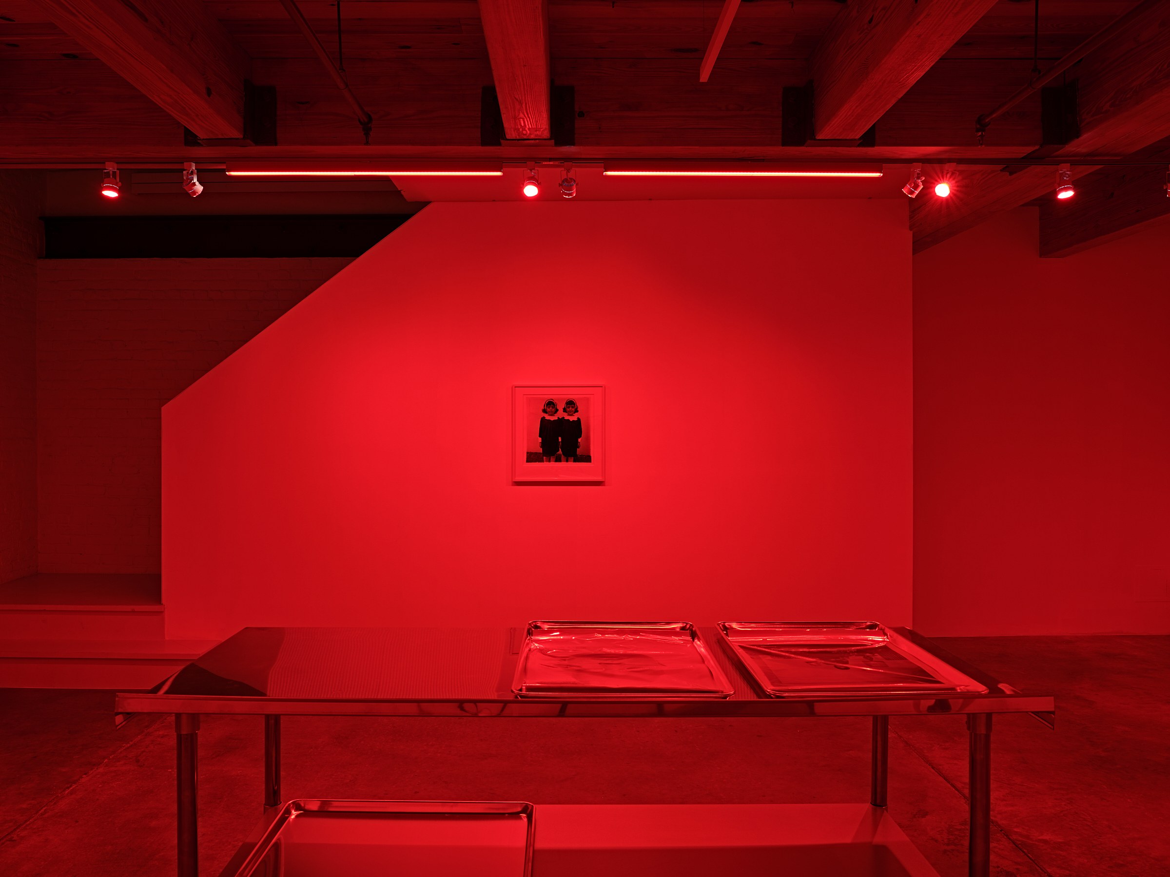 Diane Arbus, DARK ROOM - a collection of photographs by Diane Arbus at anonymous gallery, photo 2