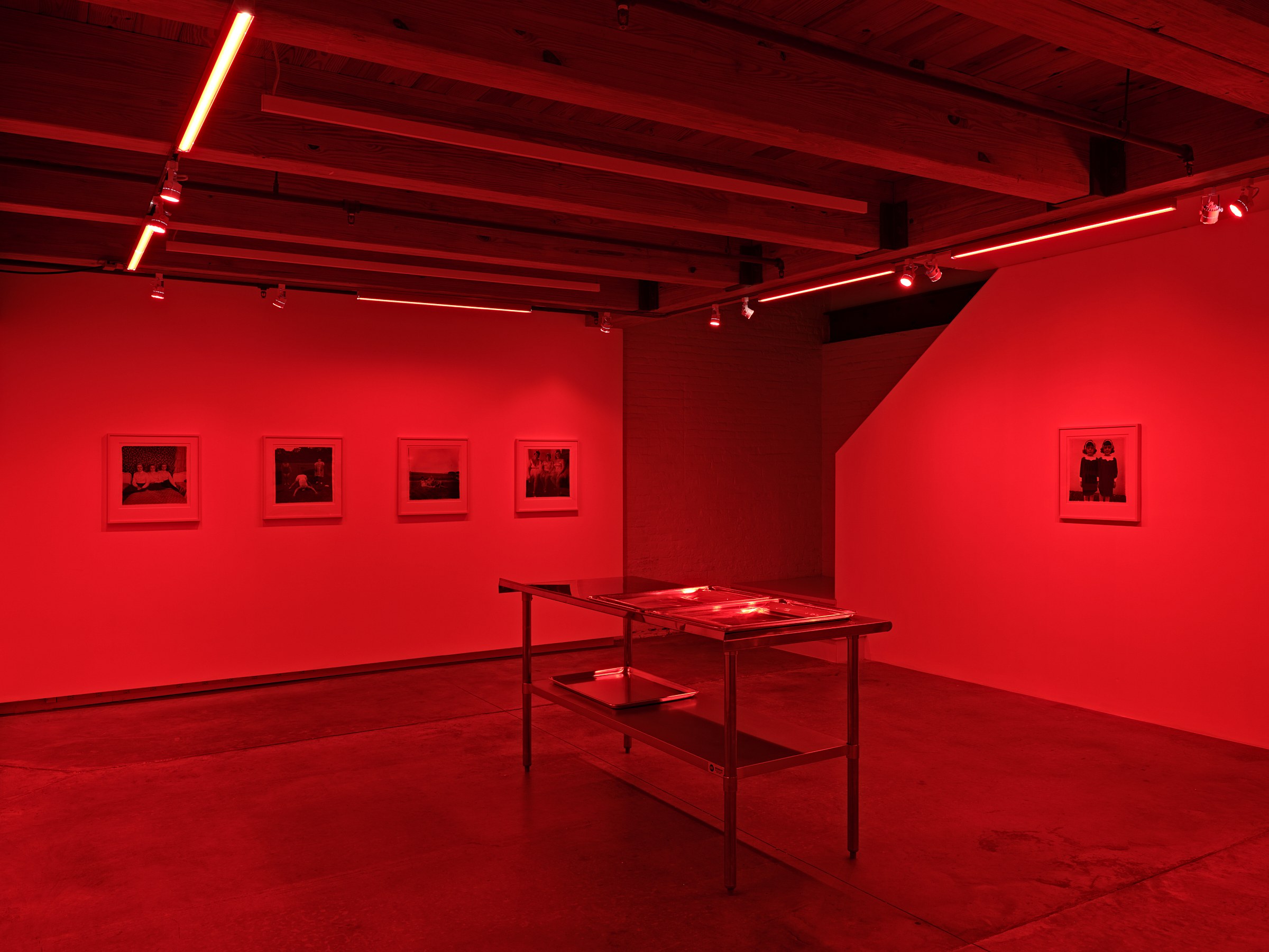 Diane Arbus, DARK ROOM - a collection of photographs by Diane Arbus at anonymous gallery, photo 6