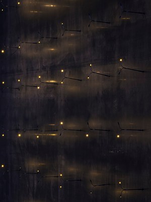 Image 8 of 19