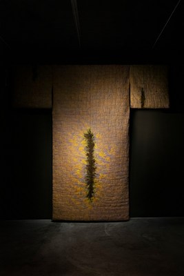 Image 3 of 35