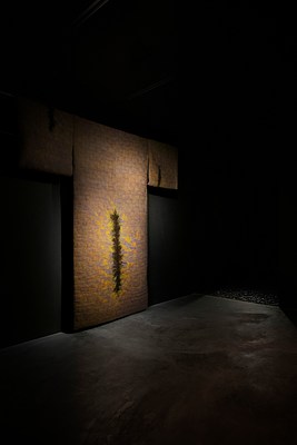 Image 2 of 35
