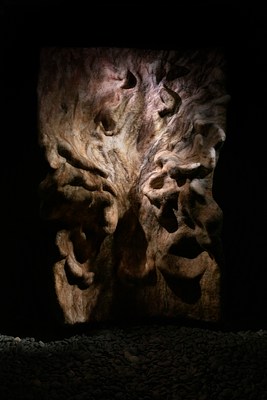 Image 10 of 35