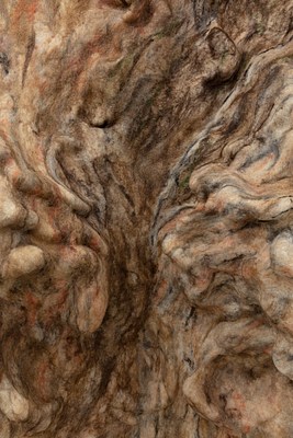 Image 18 of 35