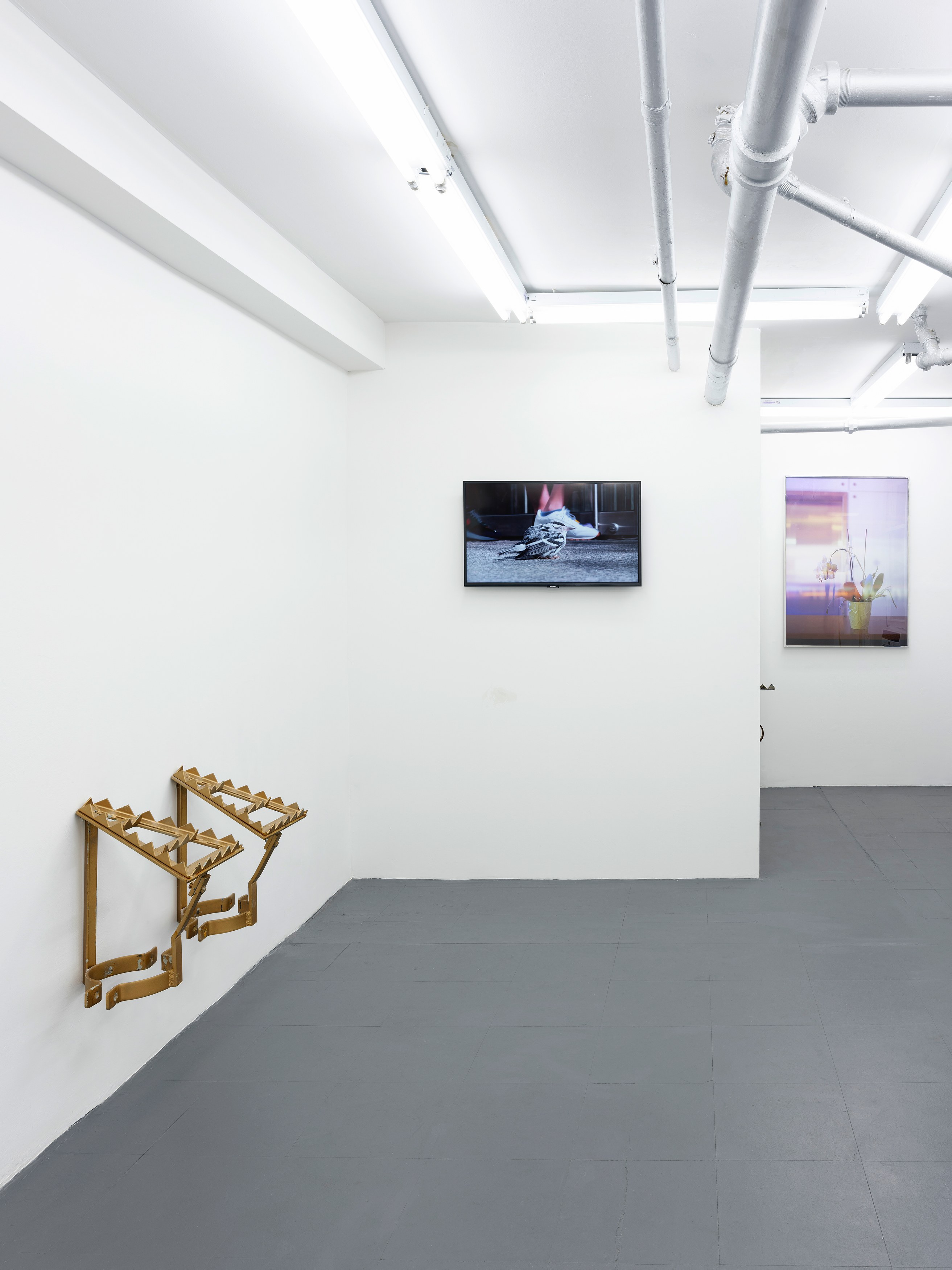 David L. Johnson, Revocable Consents at Theta, New York and From the Desk of Lucy Bull, New York, photo 7