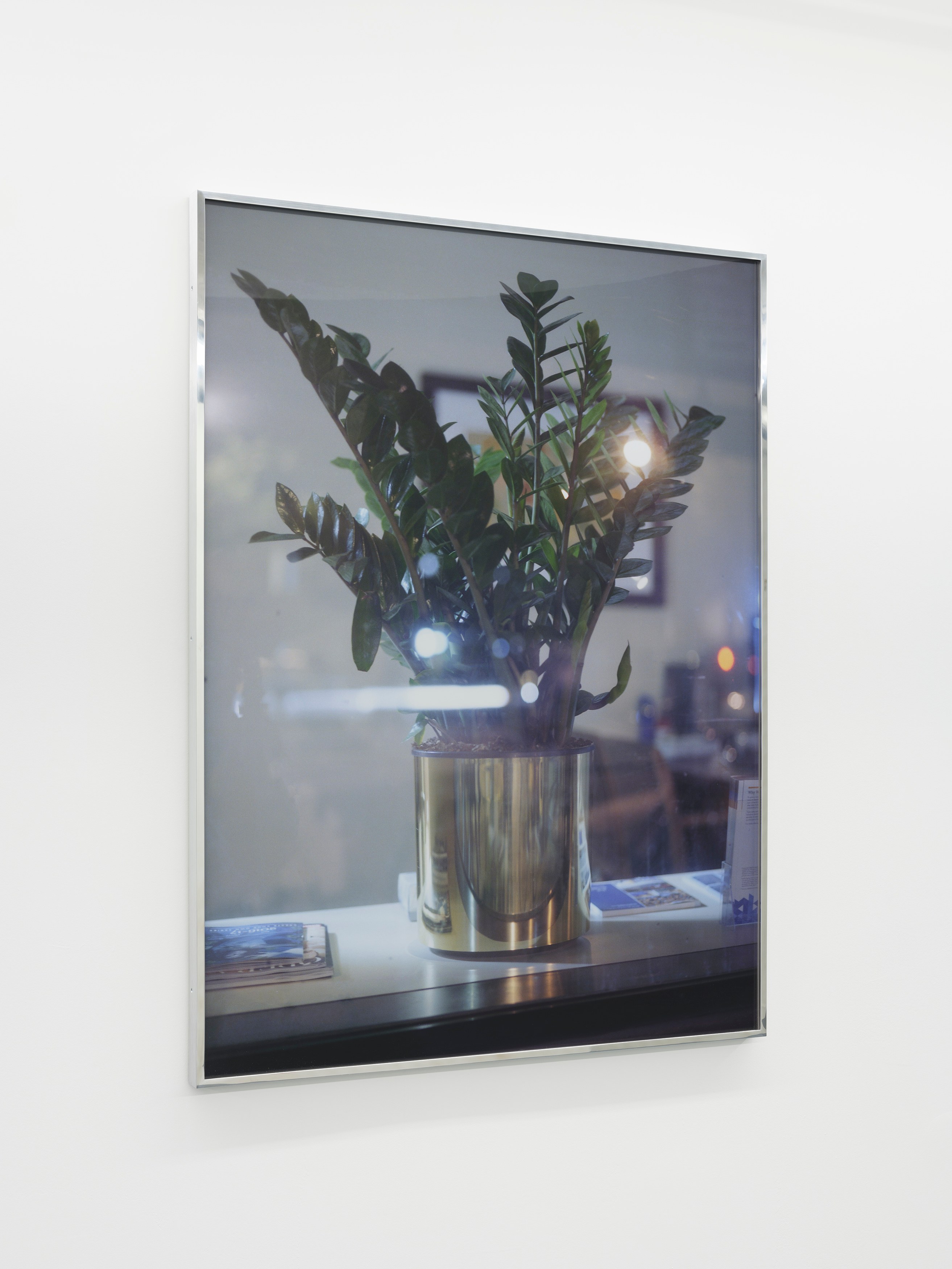 David L. Johnson, Revocable Consents at Theta, New York and From the Desk of Lucy Bull, New York, photo 23