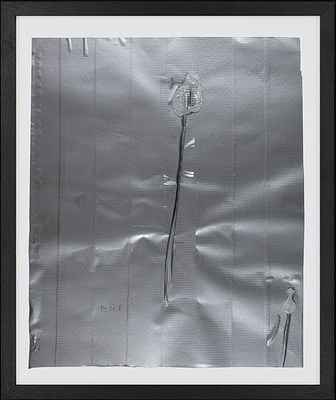 Image 9 of 113