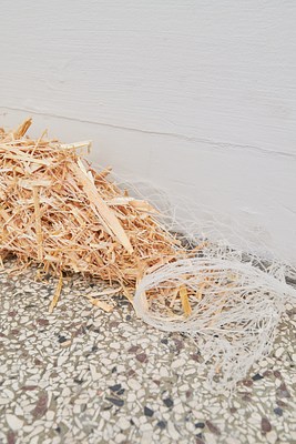 Image 5 of 8