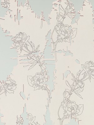 Image 24 of 31