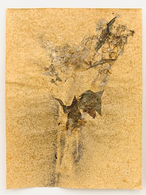 Image 49 of 75