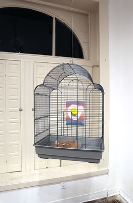 Image 14 of 51