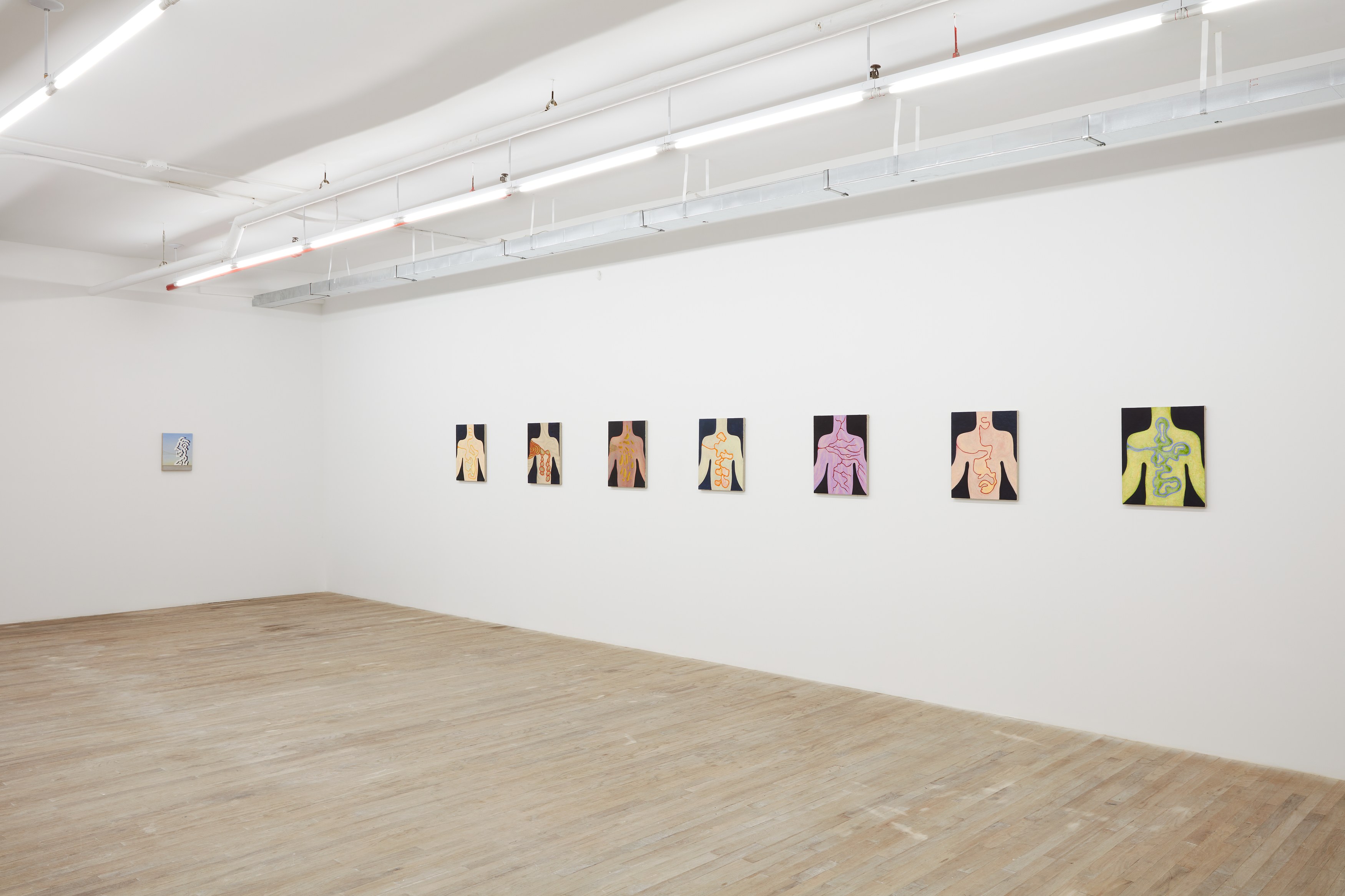 Nicolás Guagnini, Heads and Torsos at Bortolami, photo 4