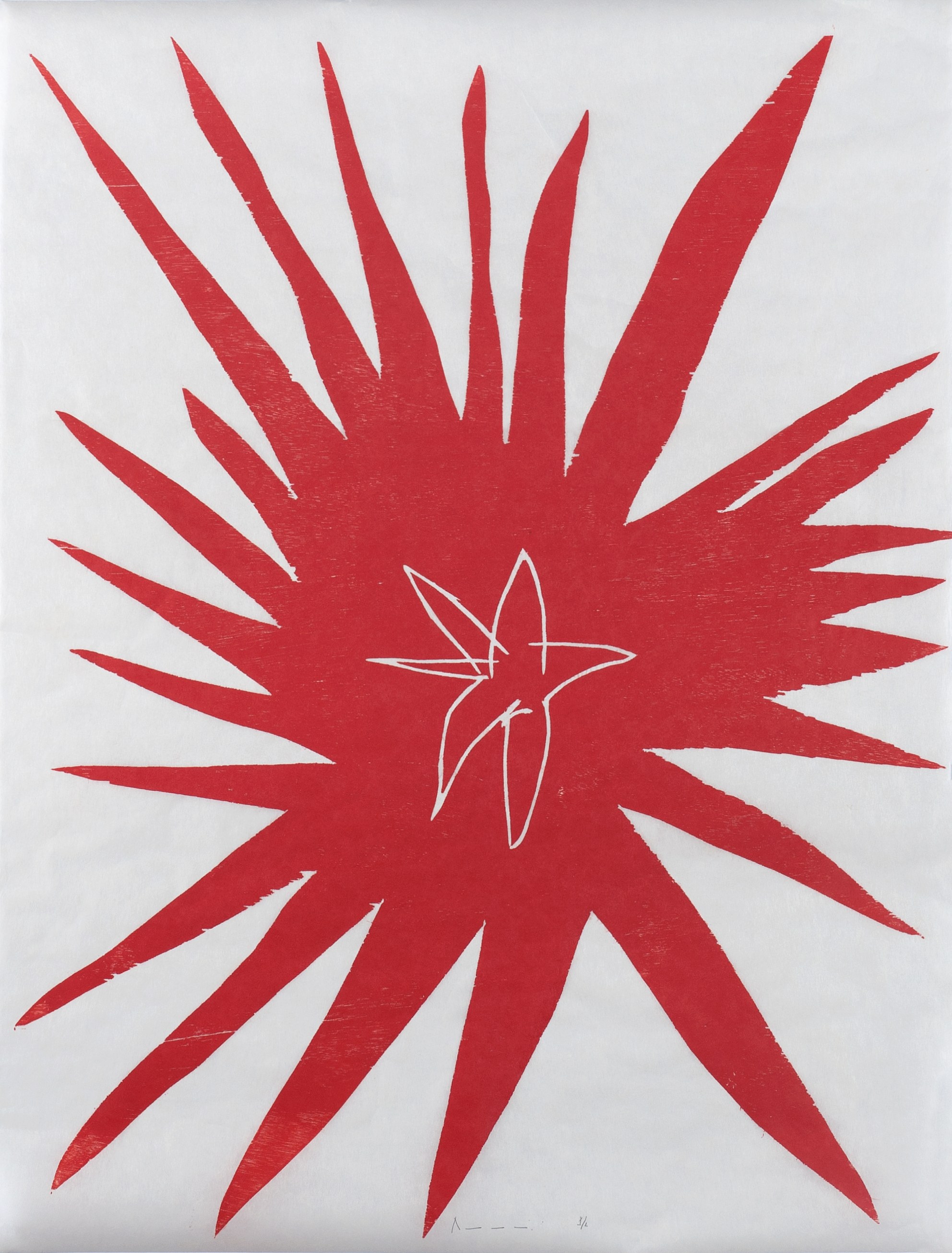 Roberto Burle Marx, Santídio Pereira, Richard Aldrich, Ei Arakawa, Virginia Overton at Bortolami, photo 22