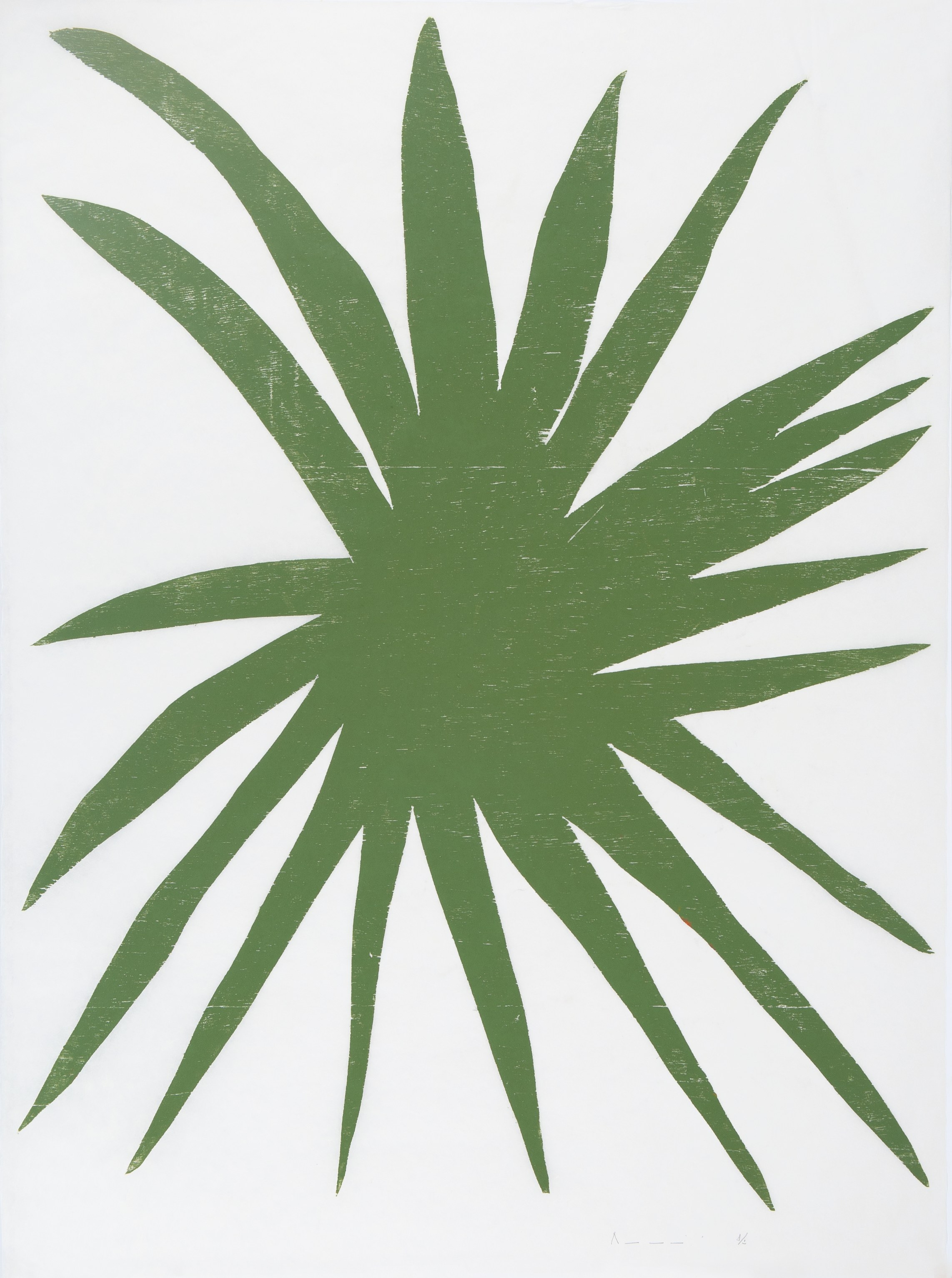 Roberto Burle Marx, Santídio Pereira, Richard Aldrich, Ei Arakawa, Virginia Overton at Bortolami, photo 23