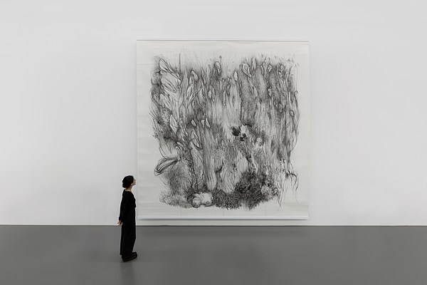 Image 14 of 22