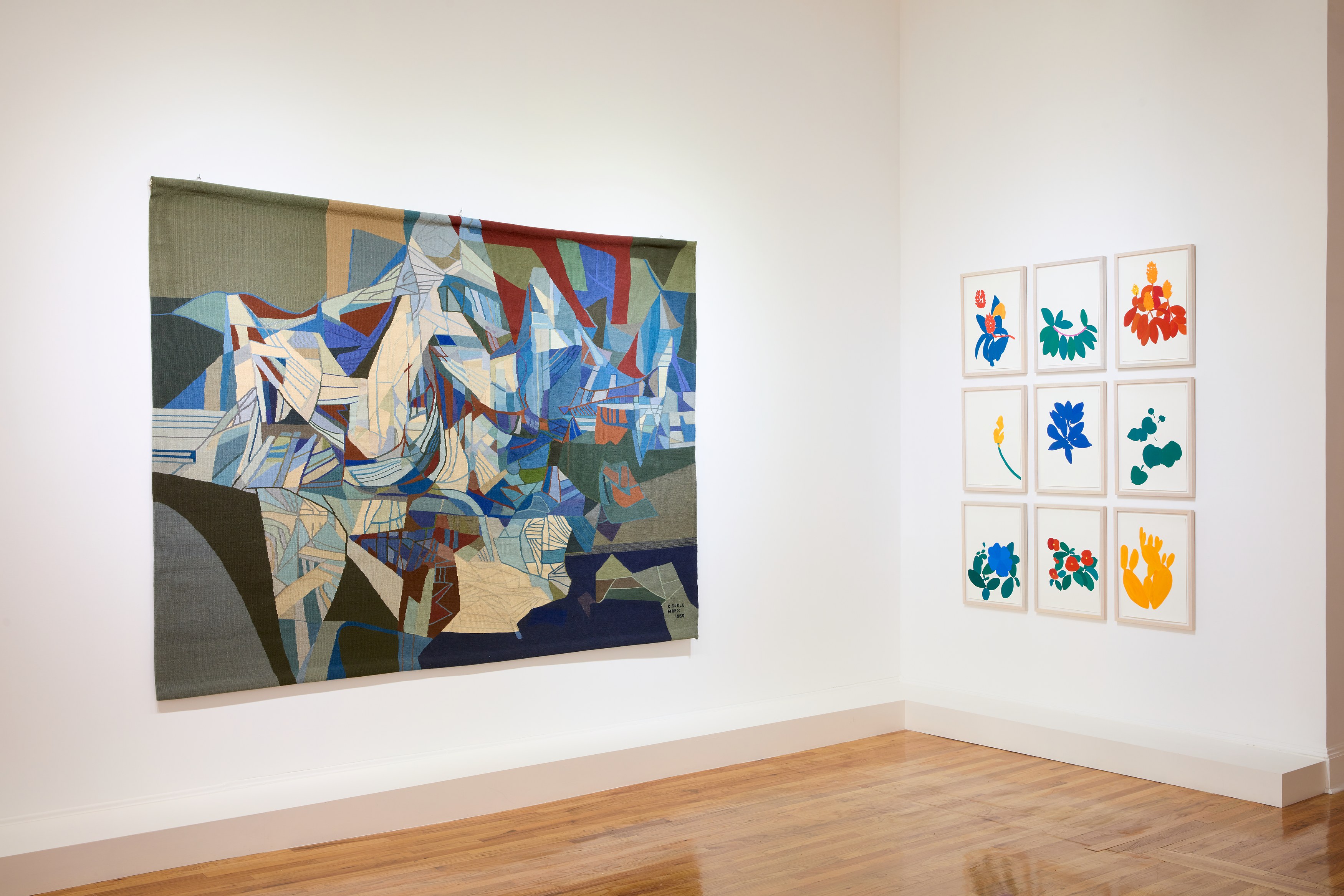 Roberto Burle Marx, Santídio Pereira, Richard Aldrich, Ei Arakawa, Virginia Overton at Bortolami, photo 5