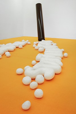 Image 7 of 25