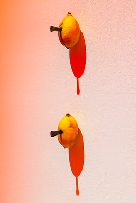 Image 11 of 43