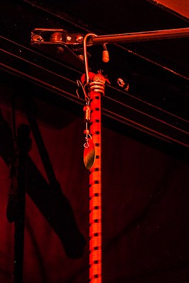 Image 32 of 43