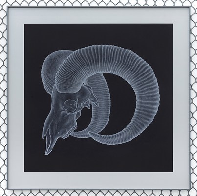 Image 30 of 88