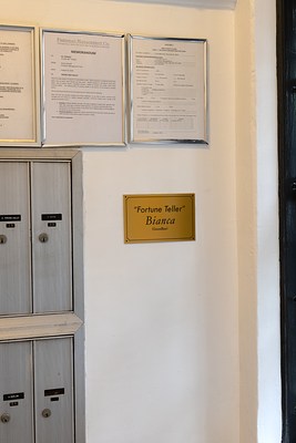 Image 19 of 19