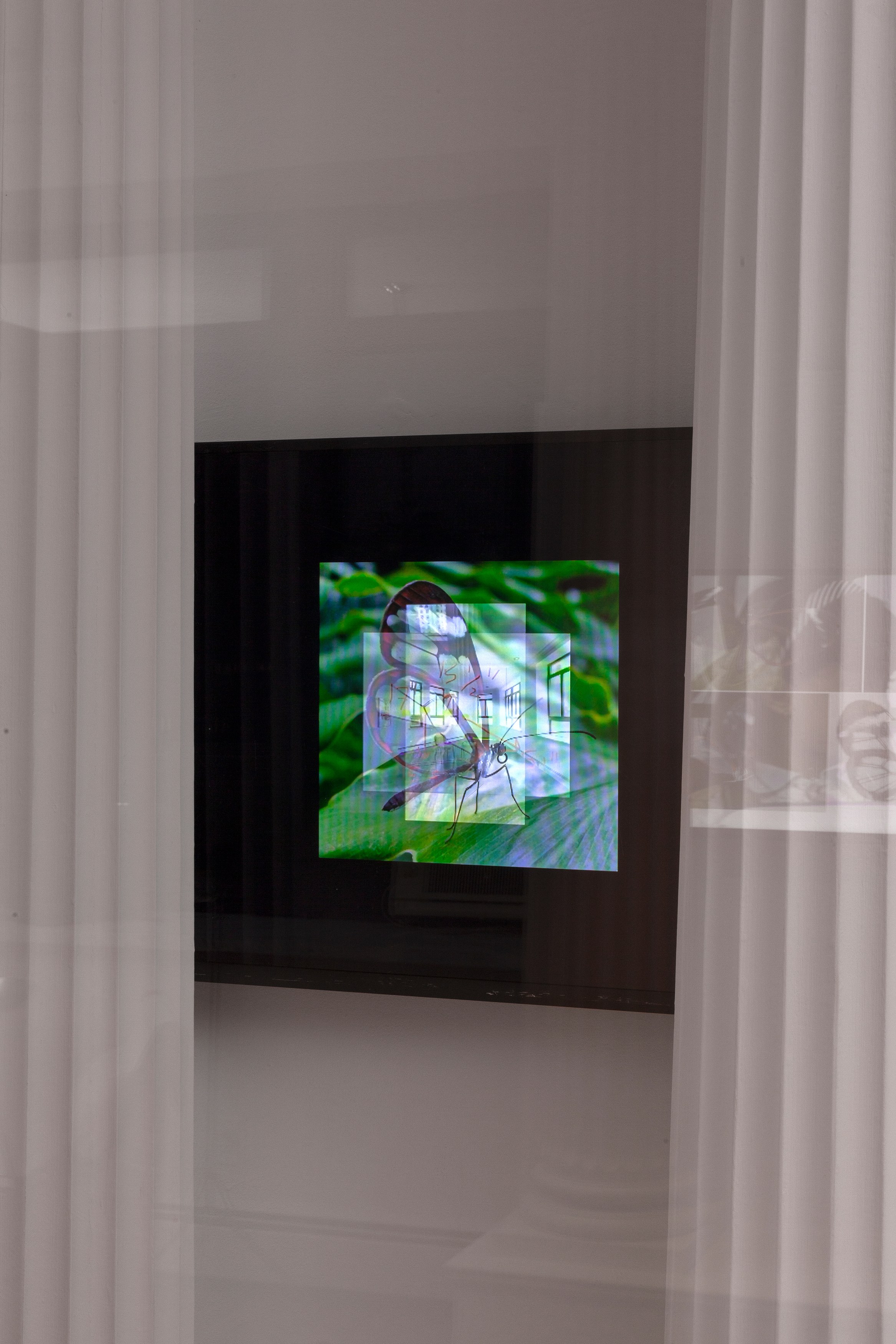 This dialogue which happened to be present in all previous dialogues, This dialogue which happened to be present in all previous dialogues at Alyssa Davis Gallery, photo 9