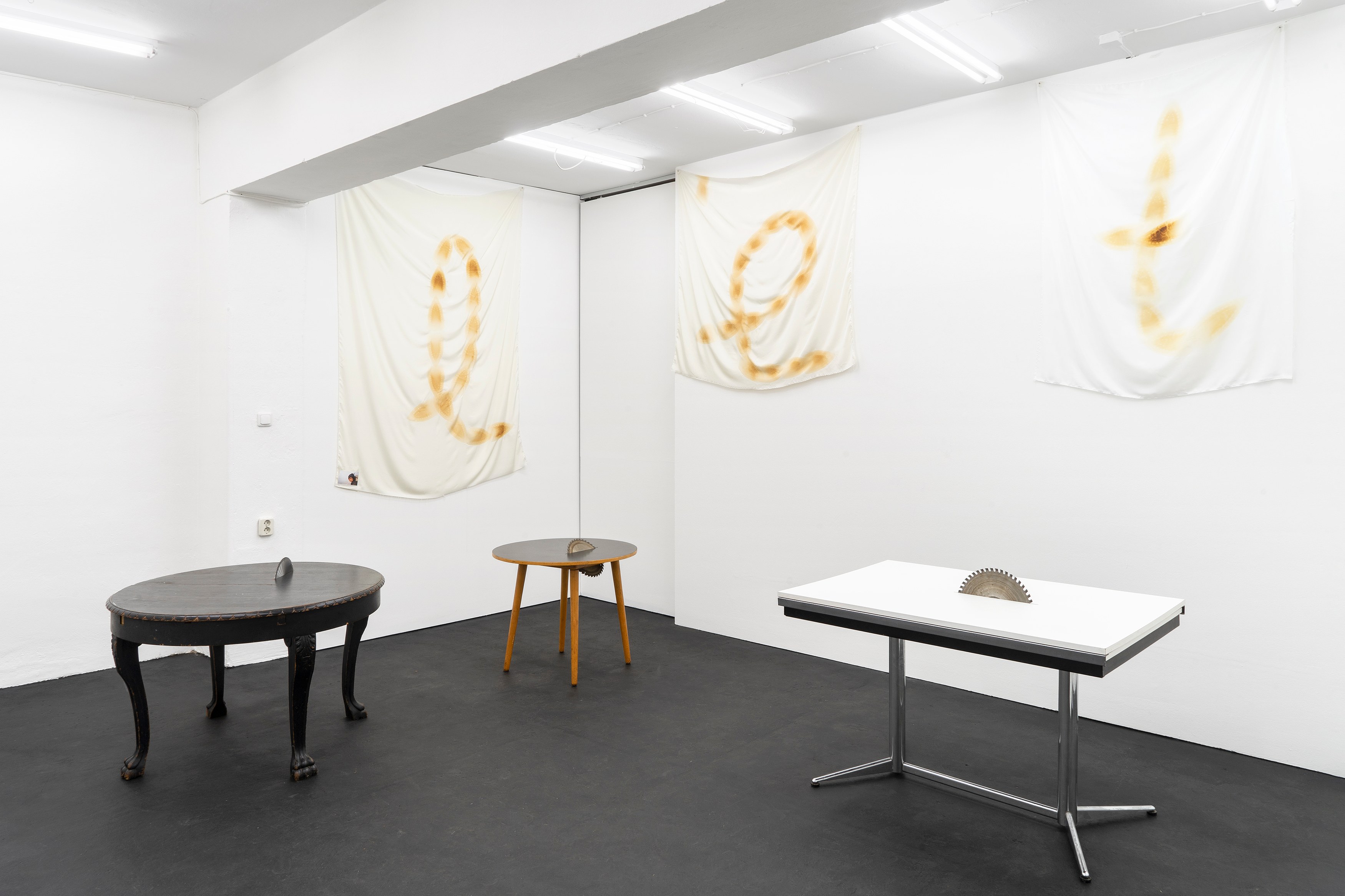 Phung-Tien Phan, Stop Dreaming at Schiefe Zähne, photo 2