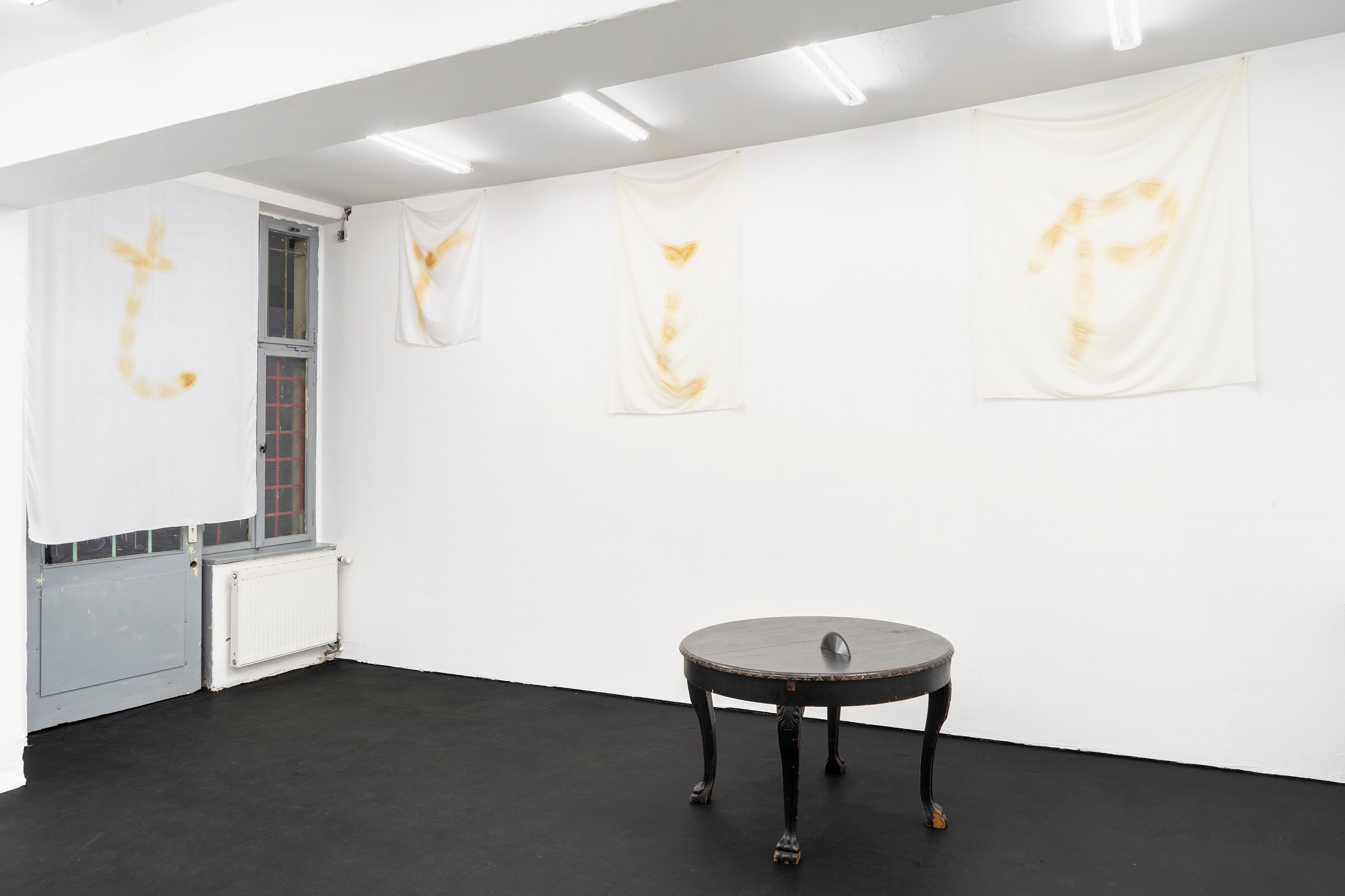 Phung-Tien Phan, Stop Dreaming at Schiefe Zähne, photo 4