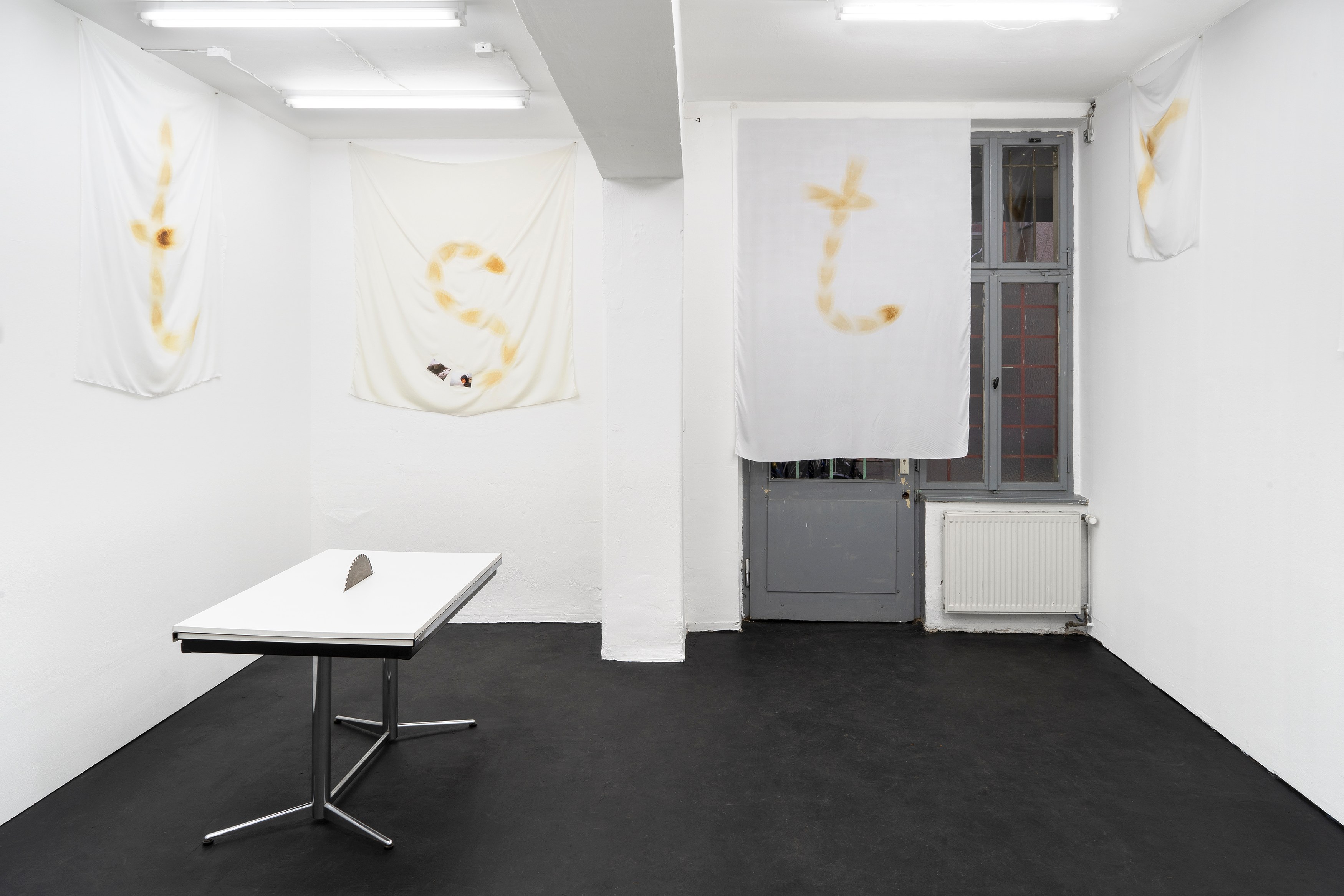 Phung-Tien Phan, Stop Dreaming at Schiefe Zähne, photo 5