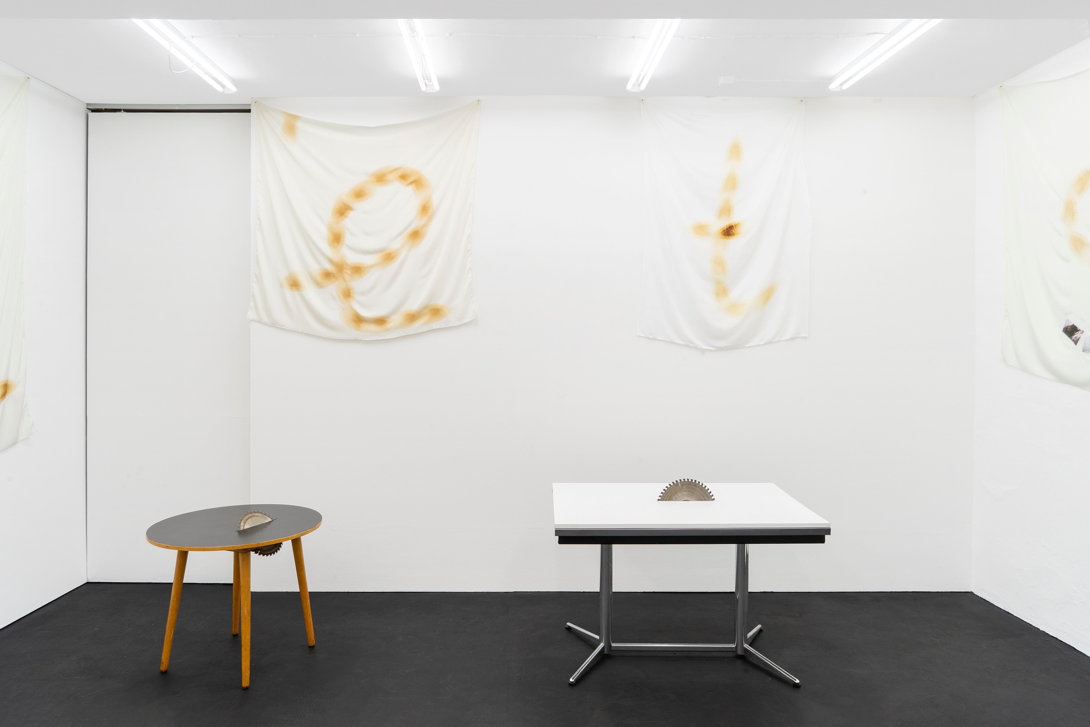Phung-Tien Phan, Stop Dreaming at Schiefe Zähne, photo 3