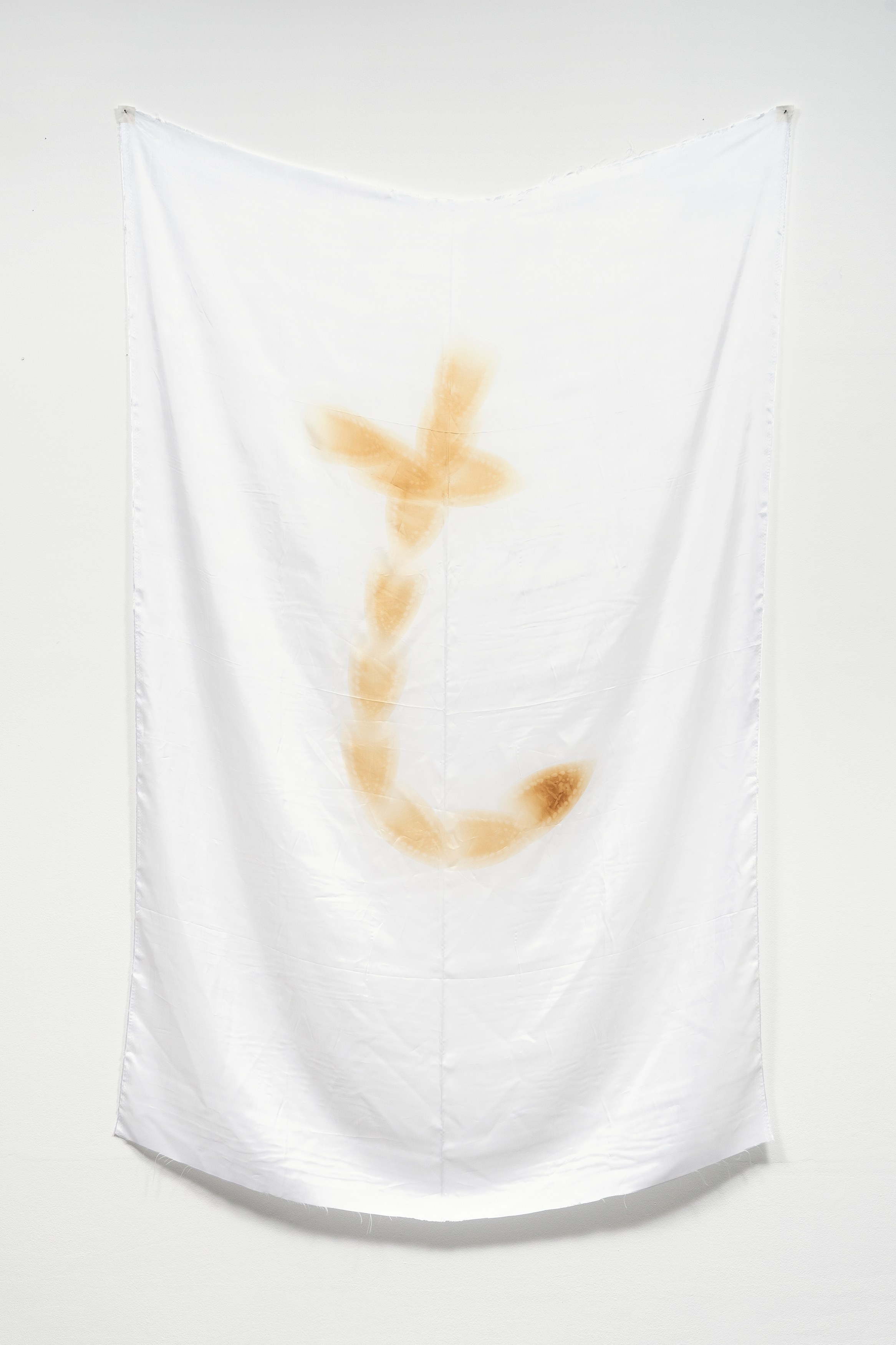 Phung-Tien Phan, Stop Dreaming at Schiefe Zähne, photo 6