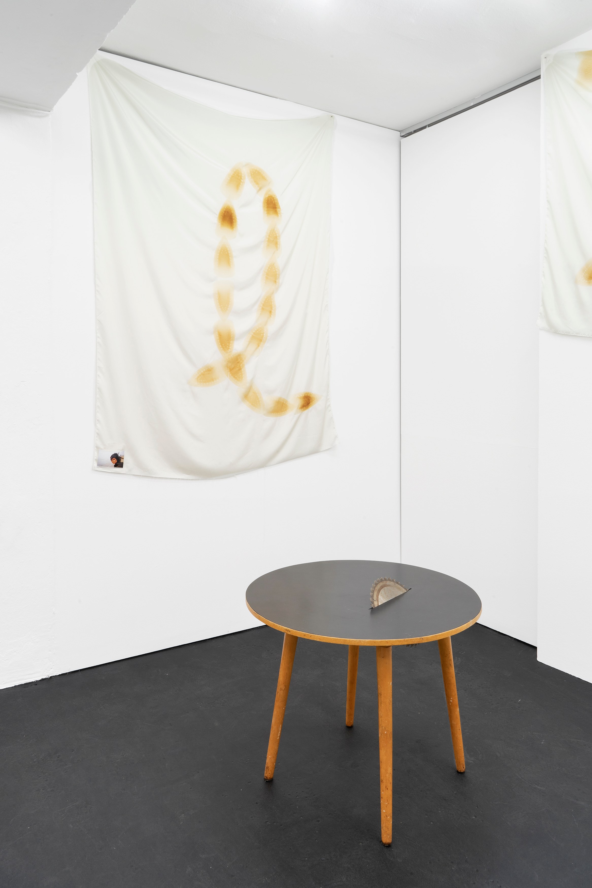 Phung-Tien Phan, Stop Dreaming at Schiefe Zähne, photo 12