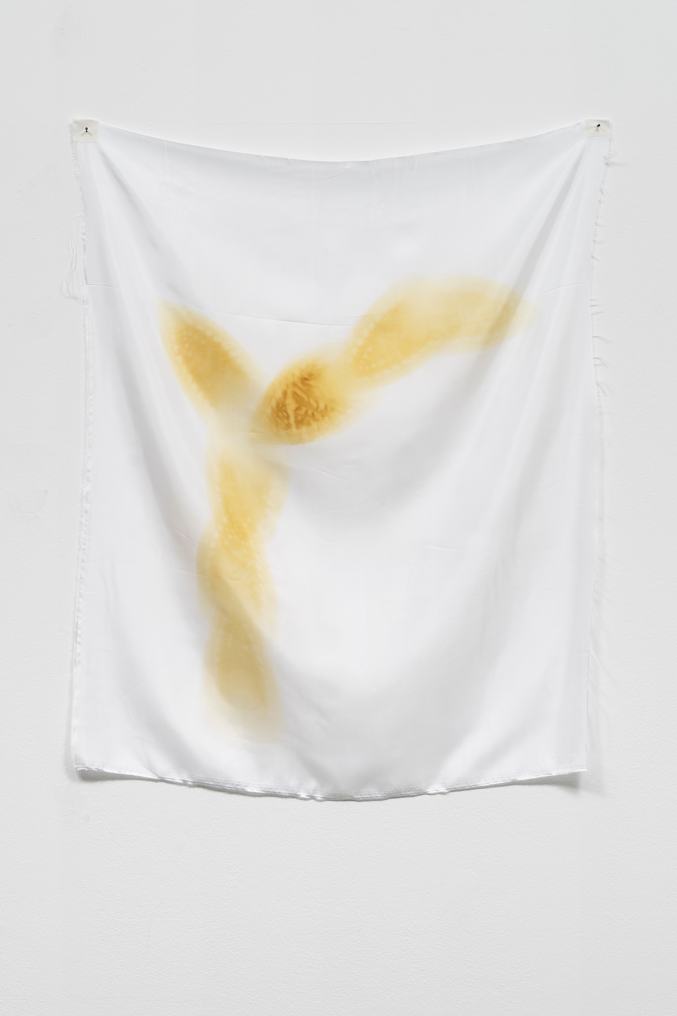 Phung-Tien Phan, Stop Dreaming at Schiefe Zähne, photo 7