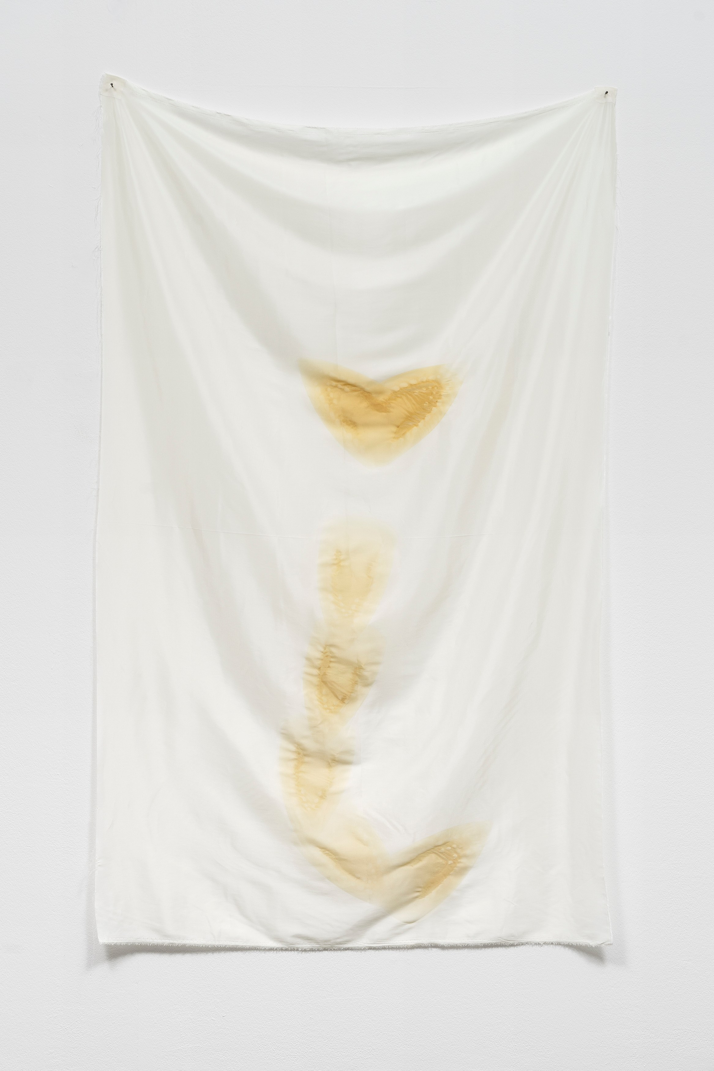 Phung-Tien Phan, Stop Dreaming at Schiefe Zähne, photo 8