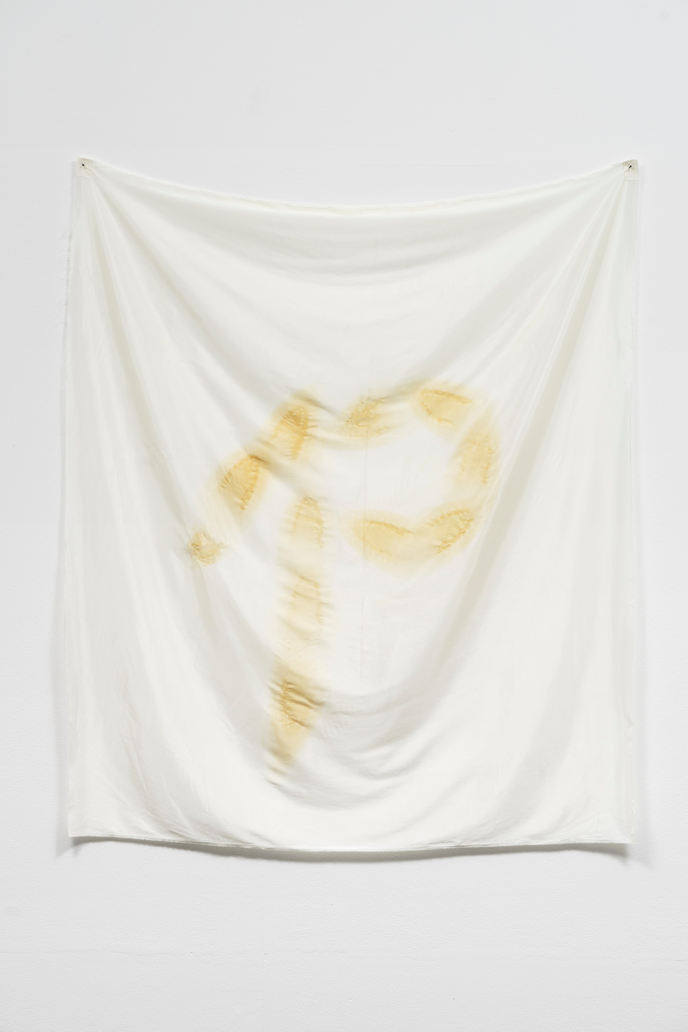 Phung-Tien Phan, Stop Dreaming at Schiefe Zähne, photo 9